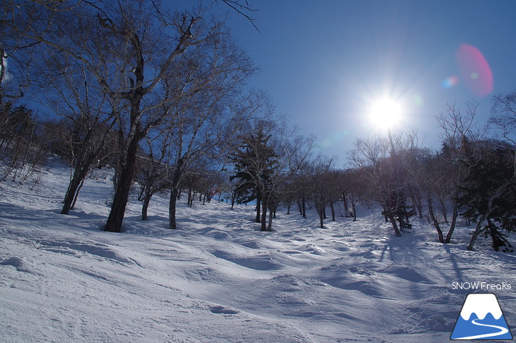 サッポロテイネ モノスキーで春雪遊び・尾形信とゆかいな仲間たち♪